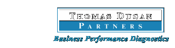 Thomas Dugan Partners, Business Performance Diagnostics